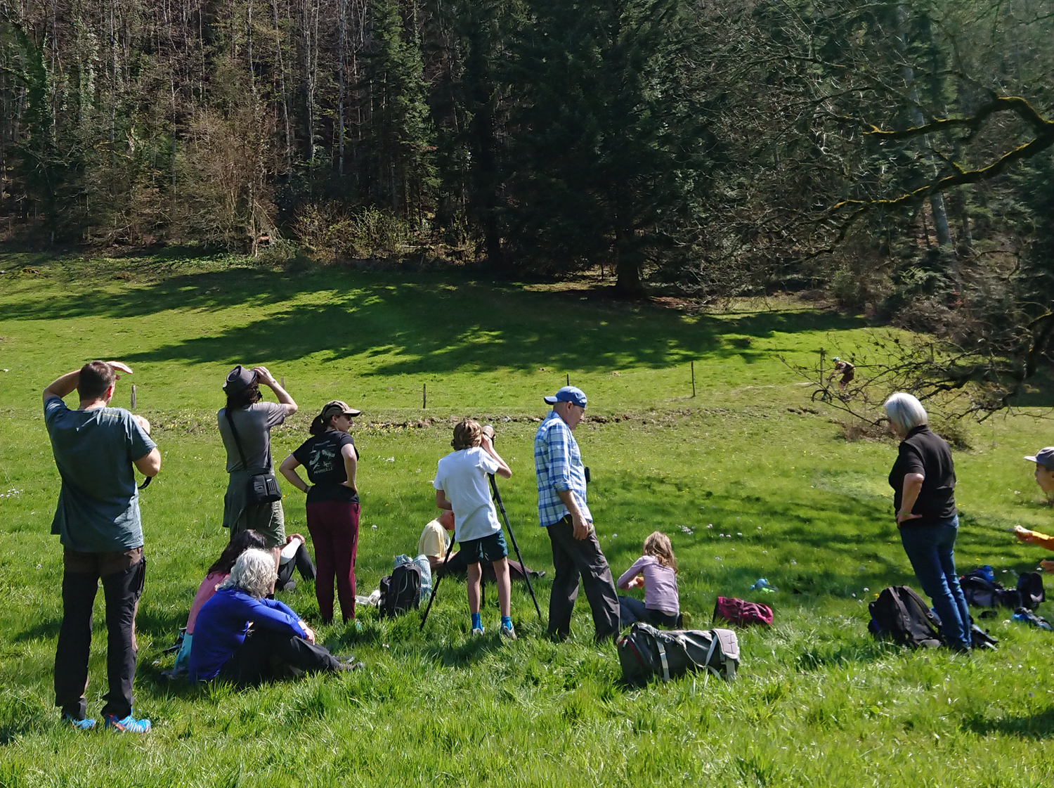 Observation suisse trekking