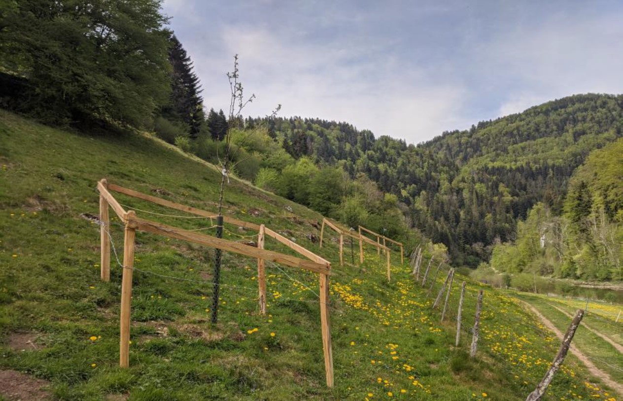 Randonnée parc du Doubs